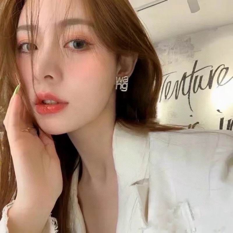 Alexander Wang earring 9lyr5